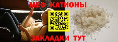 шишки Обь