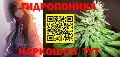 шишки Обь