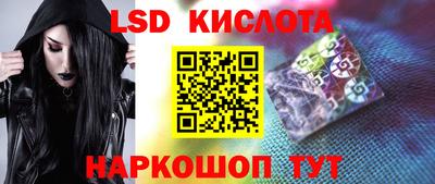 шишки Обь