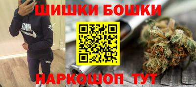 индика Нягань