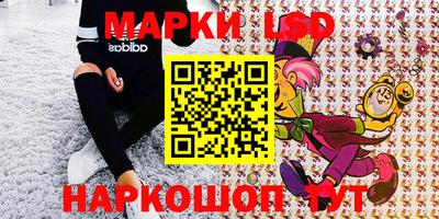 шишки Обь