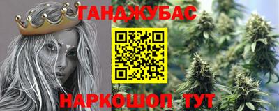шишки Обь